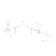 Horeca Parts - Zmywarka gastronomiczna Dihr - DW102N