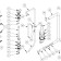 Horeca Parts - Zmywarka Stalgast 801555