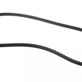 Horeca Parts - Pasek 9,7 × 8 mm, długość 1024 mm, profil XPZ – Carpigiani