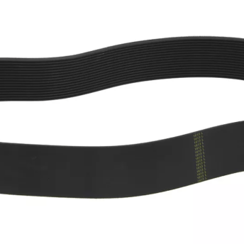 Horeca Parts - Pas Poly-V 1613 L635, 16 rowków – Carpigiani