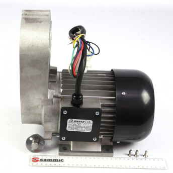 Horeca Parts - Silnik kompletny 230-380/60/3 - Wilk / Maszynka do mielenia mięsa Sammic PS-32