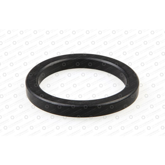 Horeca Parts - Uszczelka łyżki grupy śr. 73x57x8,5 mm - Ekspres do kawy kolbowy Faema, Futurmat, San Remo