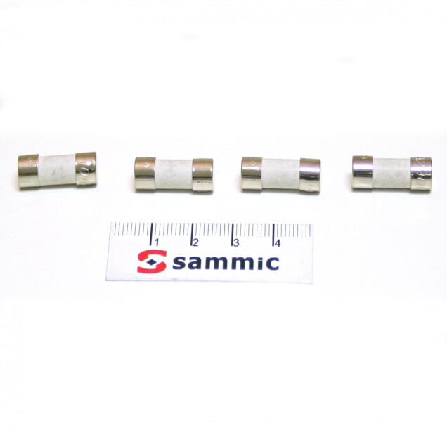 Horeca Parts - Bezpiecznik 10A 5x20 - Pakowarka próżniowa Sammic